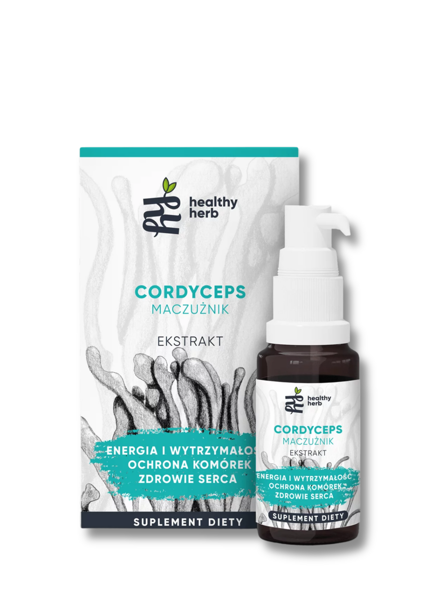 CORDYCEPS ekstrakt – maczużnik, adaptogeny, grzyby funkcjonalne