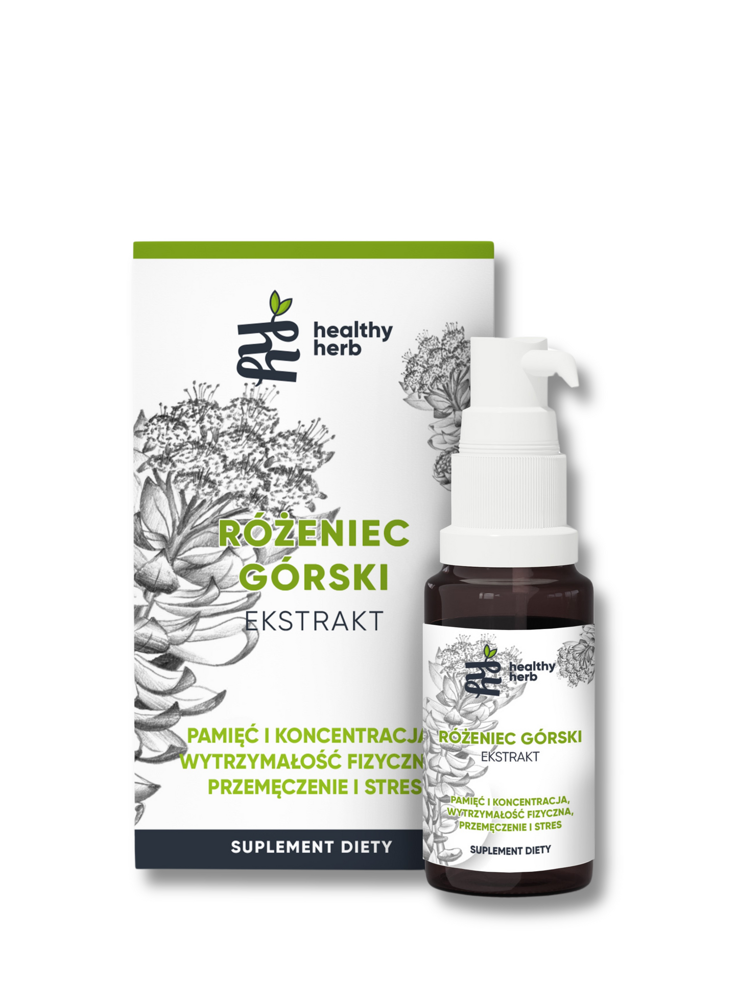 Różeniec Górski ekstrakt – Rhodiola Rosea, Adaptogeny