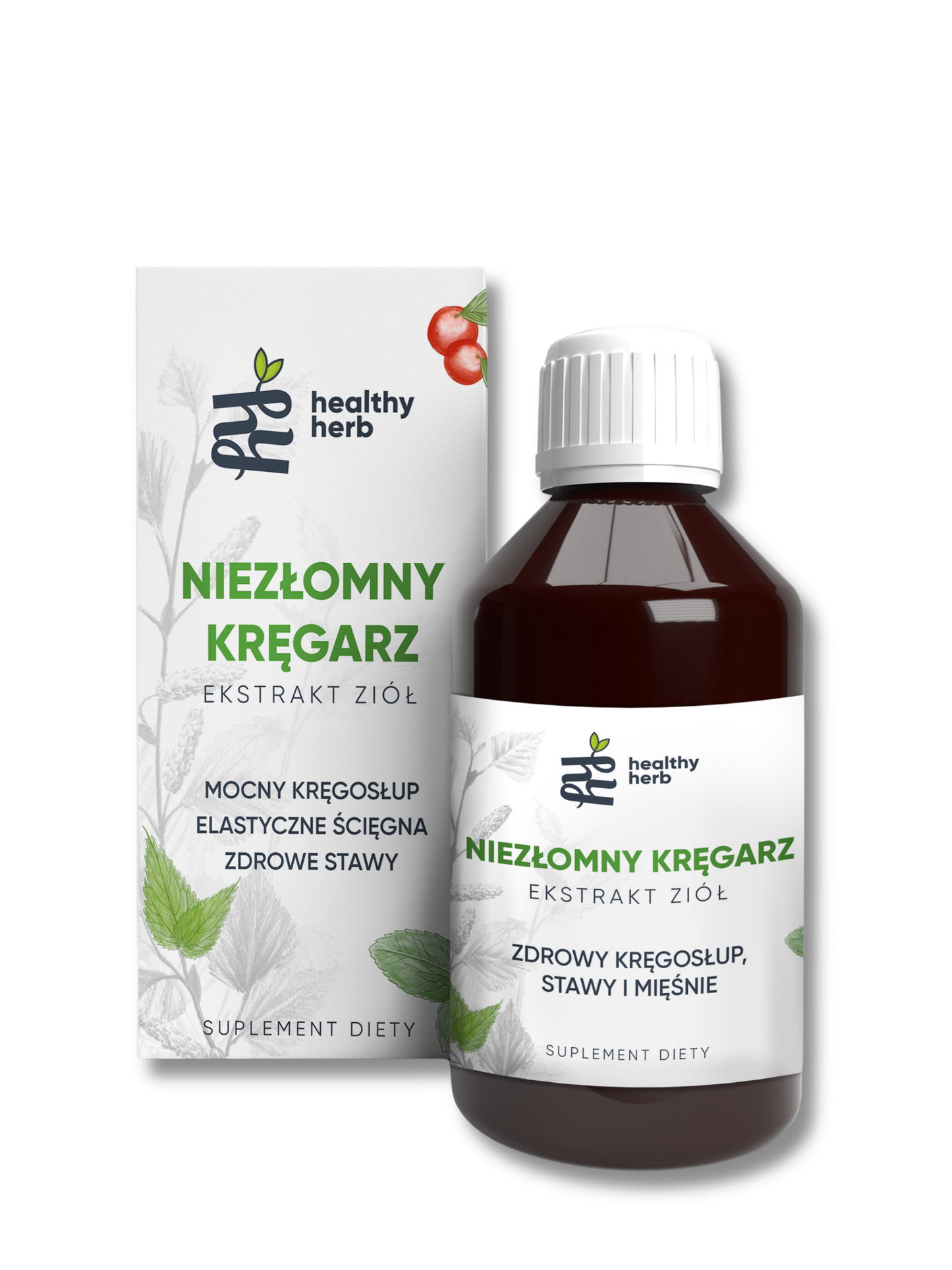 NIEZŁOMNY KRĘGARZ – Zioła na kręgosłup